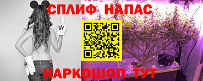 шишки Кунгур