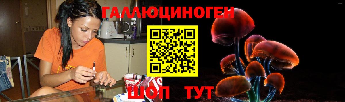 Ессентуки  Галлюциногенные грибы Cubensis  Вход с VPN 